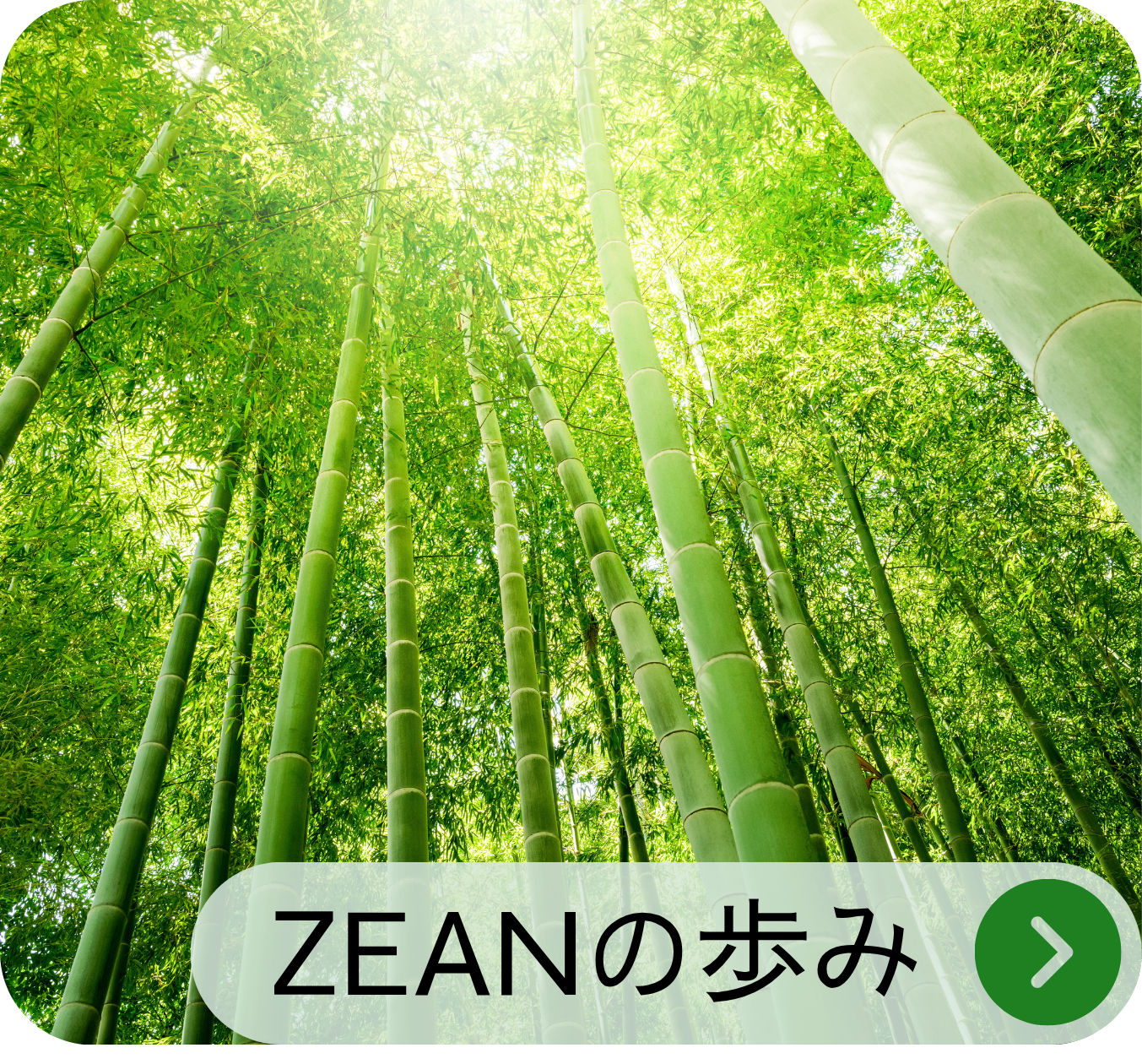ZEANの歩みページへ